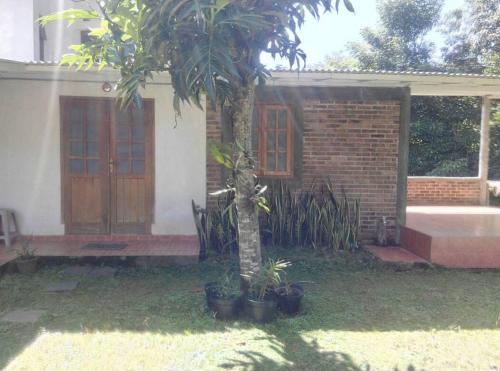 una casa con un árbol y algunas plantas delante de él en Villa Triniti Blok i-35, en Bandung