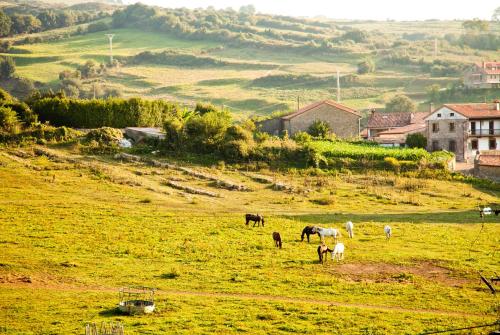 cows are grazing in a field at La Casa del Organista in Santillana del Mar
