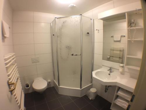 ein Bad mit einer Dusche, einem WC und einem Waschbecken in der Unterkunft Motel Monteur in Aschersleben