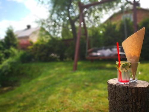 a glass with a knife sitting on top of a tree stump at Viesu nams AMRAI in Ventspils