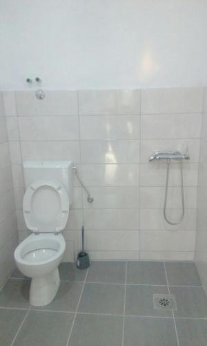 a bathroom with a toilet and a shower at Villa Panorama Blagaj in Blagaj