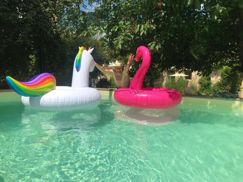 un homme dans une piscine avec deux cygnes gonflables dans l'établissement Côté-Serein - Les chambres du Clos-Malo, à Noyers-sur-Serein