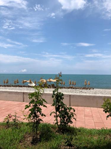 a view of the beach with a row of umbrellas at Dreamland oasis in Chakvi in Chakvi