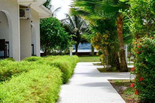 a walkway in front of a building with palm trees at HideAway in Anse Possession
