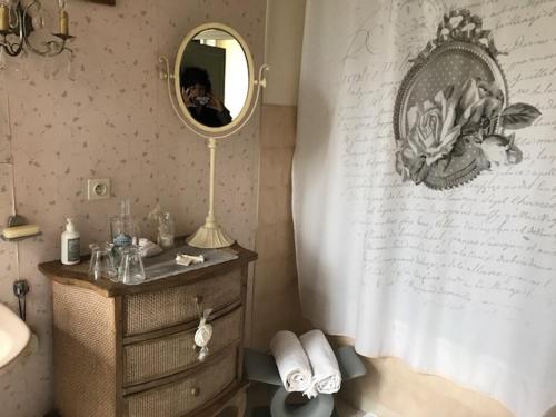 a person taking a picture of a bathroom with a mirror at Château de Varennes in Varennes-lès-Mâcon