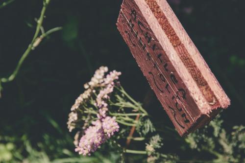 a piece of cake sitting next to a bunch of flowers at La Luna nel Pozzo in Parma