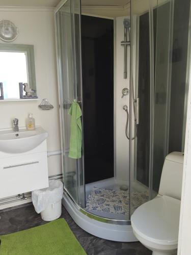 a bathroom with a shower with a sink and a toilet at Hyttingsfabodstugor in Borlänge