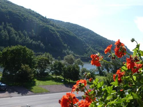a view of a mountain with red flowers at Wein- und Gästehaus St. Aldegundishof in Sankt Aldegund