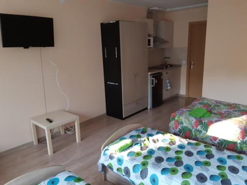 ein kleines Wohnzimmer mit einem Bett und einer Küche in der Unterkunft Little Amber Apartments in Klaipėda