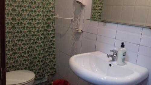 La salle de bains est pourvue d'un lavabo et de toilettes. dans l'établissement la castanuela albayzin, à Grenade