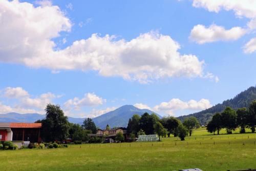 a green field with a house and mountains in the background at Green Wall Apartment Kaprun in Kaprun