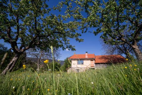 an old house in a field of grass with trees at Razborca in Mislinja