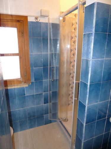 a bathroom with a shower with blue tiles at Hotel Alexander in Tropea