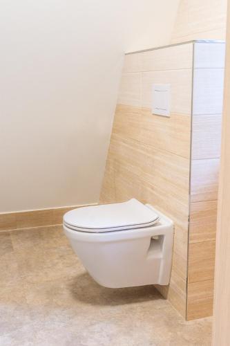 a white toilet in a bathroom with a wooden wall at Prázdninový dům Dolce II in Trutnov