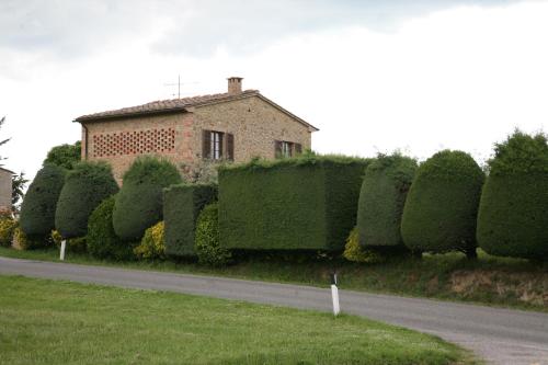 a row of hedges in front of a house at Il Fornello in Volterra