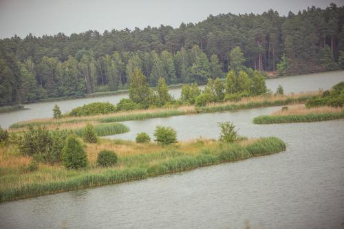 a view of a river with trees in the background at Folwark Wierzchy in Wierzchy