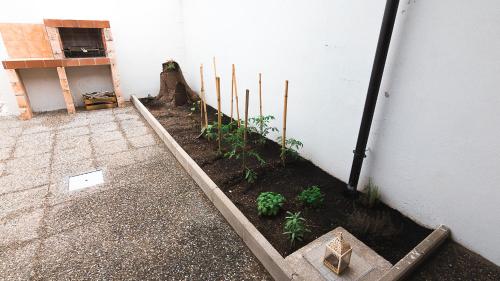 a garden with plants in the corner of a building at La Casetta in Calimera
