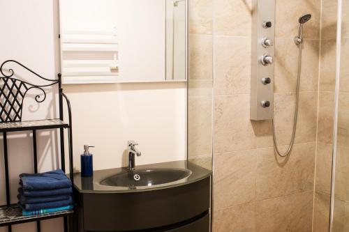 a bathroom with a sink and a shower at Gwuni Mopera in Leipzig