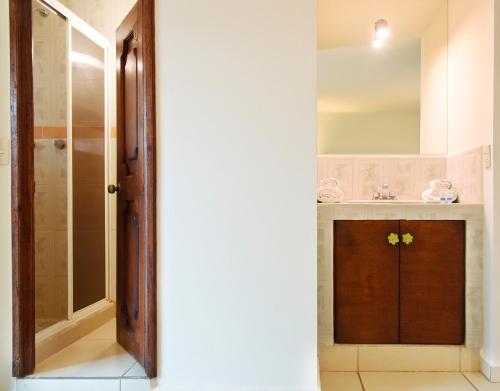 a bathroom with a shower and a wooden door at Hotel Expres By Hosting House in Morelia