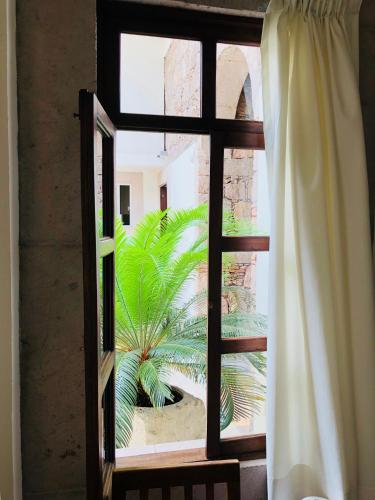 a window with a view of a palm tree outside at Hotel Expres By Hosting House in Morelia
