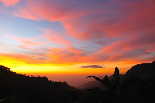 a sunset with a cactus in the foreground at Masaya Casas Viejas in Minca
