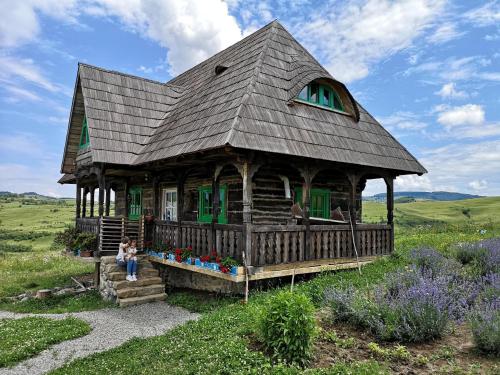 a house with a gambrel roof in a field at Casa Glod in Glod