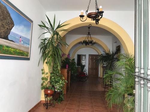 a hallway of a house with plants and a chandelier at La Posada De Carmen in N&iacute;jar