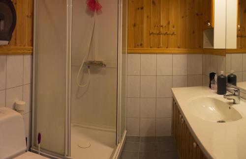 a bathroom with a shower and a sink at Jækta Fjordstue in Mosvik