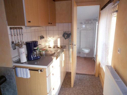 a small kitchen with a sink and a toilet at Ferienhaus Hering in Neu Porschdorf