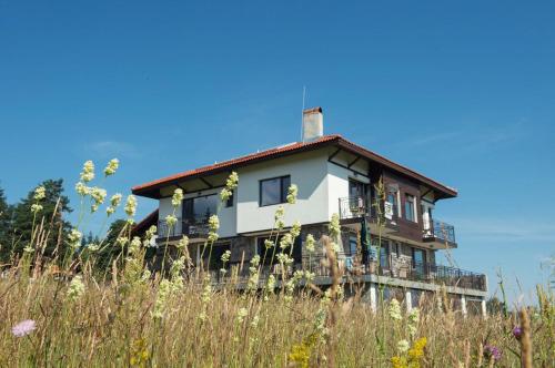 a house on top of a hill with tall grass at Vila Lidia in Tsigov Chark