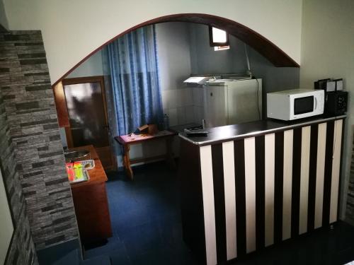 Una pequeña cocina con microondas y nevera. en Pensiunea Ramona, en Cărpinişu