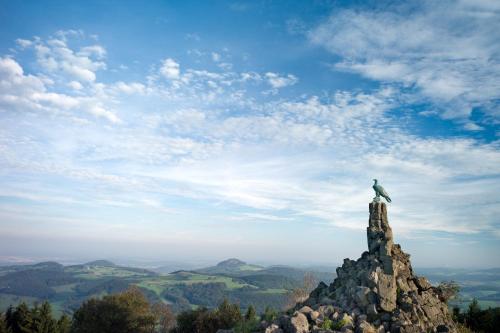 a bird perched on top of a rock on a mountain at Hotel Saxenhof in Dermbach