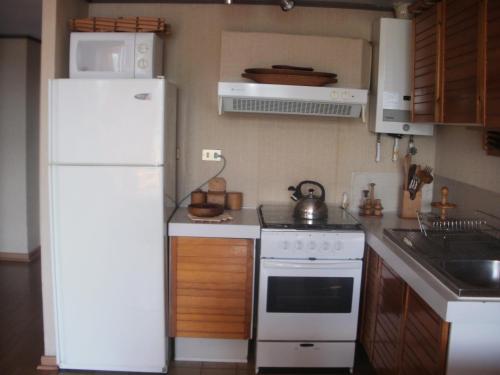 Il comprend une cuisine équipée d'un réfrigérateur blanc et d'une cuisinière. dans l'établissement La Peninsula Rehue, à Pucón