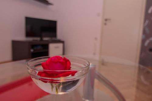 a rose in a glass bowl on a table at Guest House Ravnić in Poreč