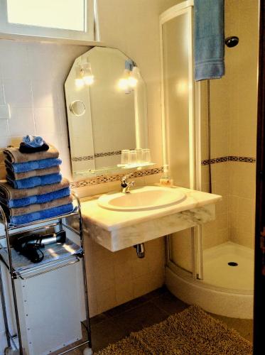 a bathroom with a sink and a mirror and a shower at Jardim do Arco "Esmee" in Arco da Calheta