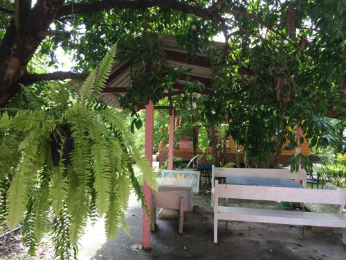 a group of benches sitting under a tree at Baan Suan Kru Kob in Ban Ko Maphang