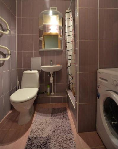 a bathroom with a toilet and a sink at Kristinos Apartment in Druskininkai