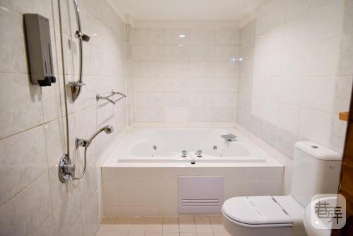 a bathroom with a tub and a toilet and a sink at 友愛金色商旅Golden Age Hotel in Taipei