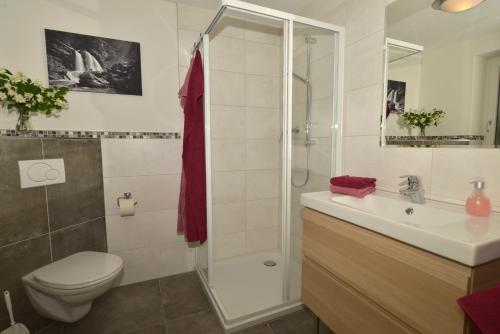 uma casa de banho com um chuveiro, um WC e um lavatório. em Haus Mariedl em Reutte