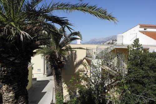 Príroda v okolí apartmánu