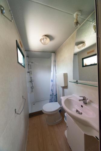 a bathroom with a sink and a toilet and a mirror at Villaggio Diomedea in Campomarino
