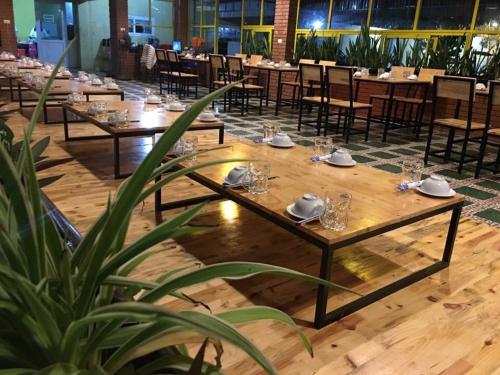 a dining room with tables and chairs and a plant at Binh Minh Dien Chau Hotel in Diễn Châu