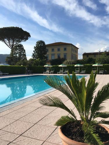 eine Palme in einem Topf neben einem Pool in der Unterkunft B&B Villa Pardi Lucca in Lucca