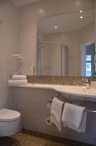 a bathroom with a sink and a toilet and a mirror at Hotel Wehlener Hof in Stadt Wehlen