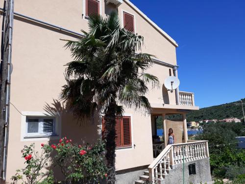 a house with a palm tree in front of it at Apartments Sakarun Soline in Soline