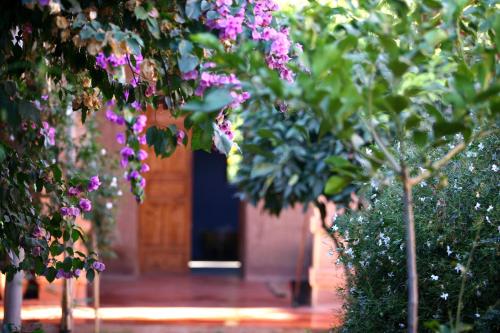 a bunch of purple flowers in front of a door at La Ferme Berbere Adult only in El Harkat