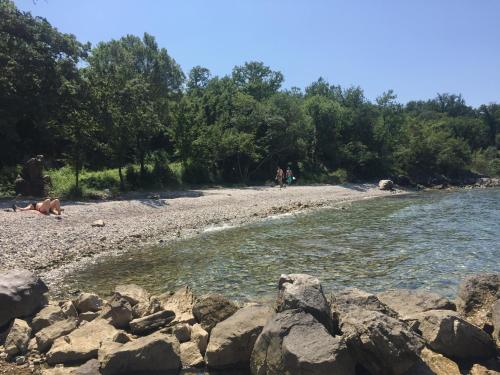 a rocky beach with a dog laying on the shore at Apartment Poleti in Malinska