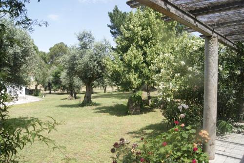 a garden with trees and a pergola at Casa do Vale in Sao Pedro de Tomar