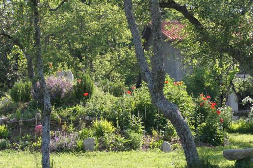 a garden with flowers and trees in a yard at Pazo de Chaioso Ribeira Sacra in Maceda