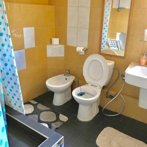 a bathroom with a toilet and a sink at Vila Adéla - Teplice in Teplice